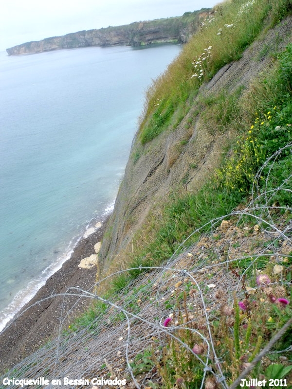 Falaise que 225 Rangers  escaladèrent le 6 juin 1944 - Saint-Pierre-du-Mont