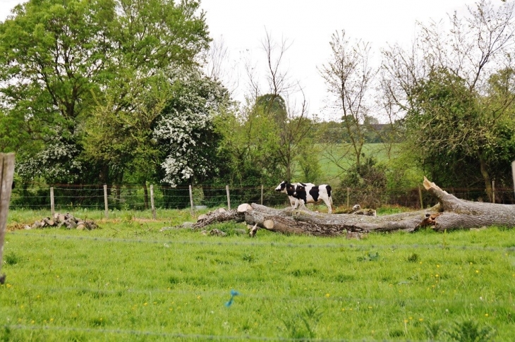 Le Village - Sainte-Honorine-de-Ducy