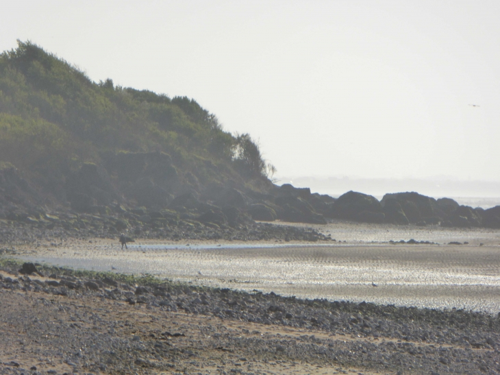 Au pied des falaises des Vaches Noires - Villers-sur-Mer