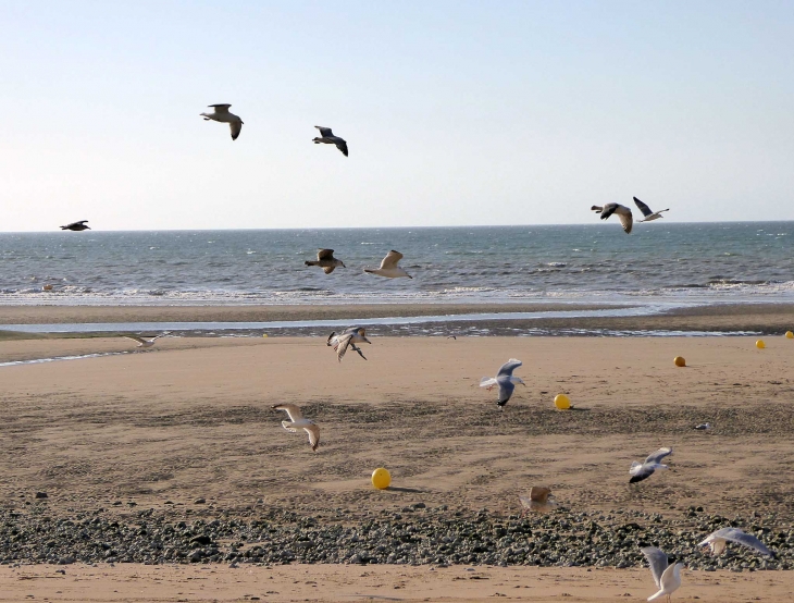 La plage - Villers-sur-Mer