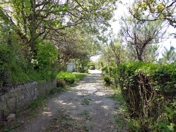 Allée d'accès à une maison - Auderville