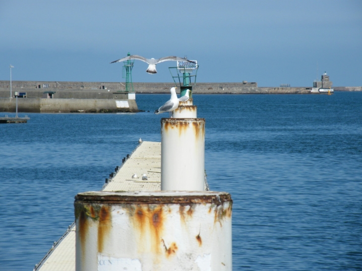 Port Chanteraine - Cherbourg-Octeville