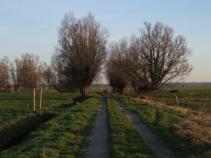 La Chasse du Marais - Fresville