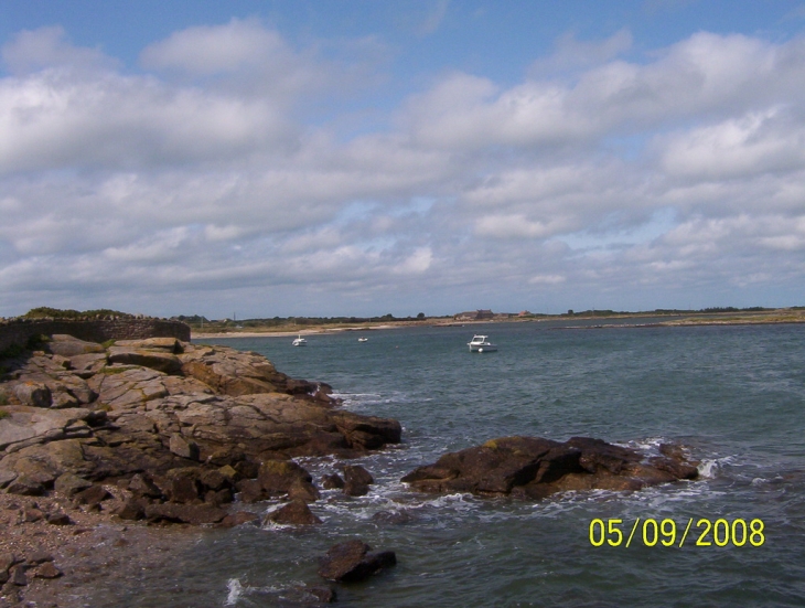 PETIT PORT - Gatteville-le-Phare