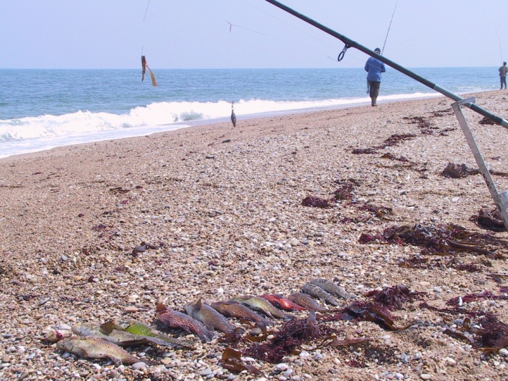 Le doyen de la commune à la pêche - Gouberville