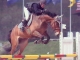 Normandie Jump Manche cavaliere Caroline Bellement