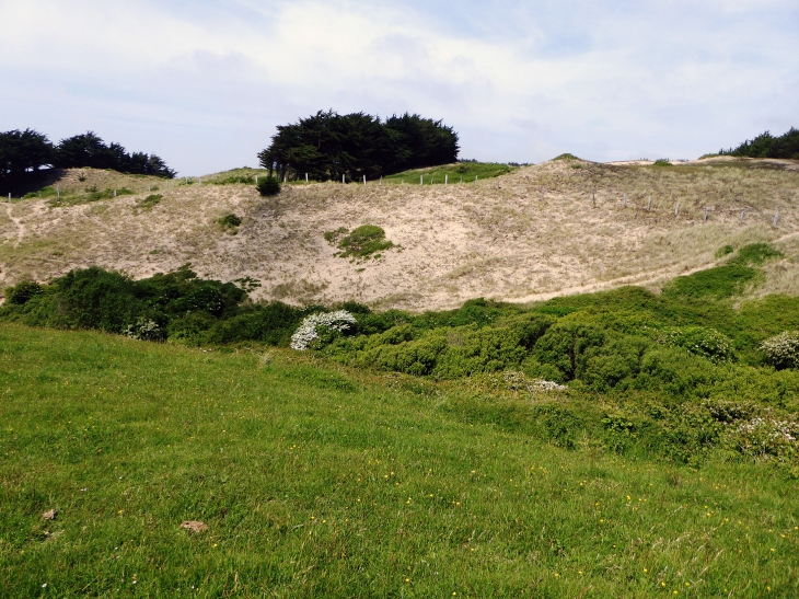 Les dunes d'Hattainville - Les Moitiers-d'Allonne