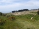 les dunes d'Hattainville