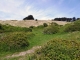 les dunes d'Hattainville