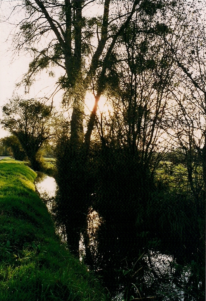 Lumières des marais à l'automne 1999 - Marchésieux