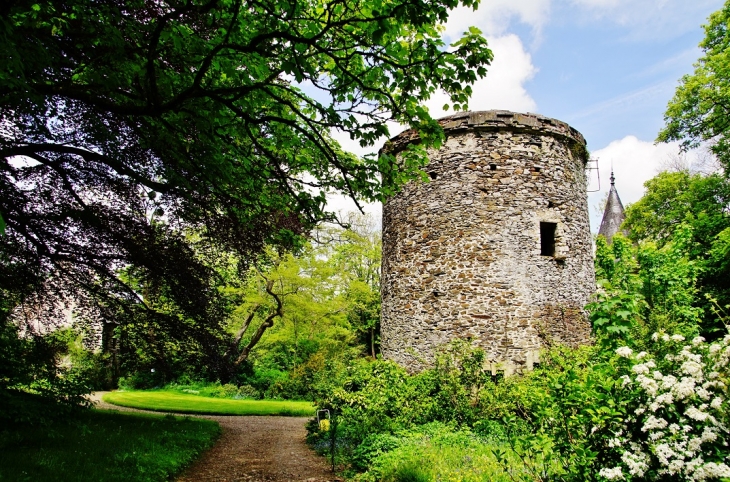 Le Château - Moon-sur-Elle