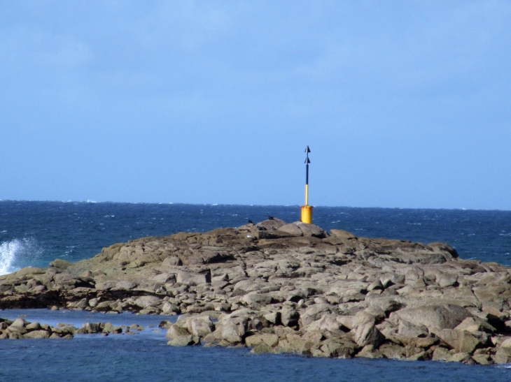 La pointe de NEVILLE. - Néville-sur-Mer