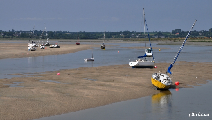 Regnéville, le havre à marée basse - Regnéville-sur-Mer