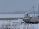 Photo précédente de Regnéville-sur-Mer Regnéville sur mer