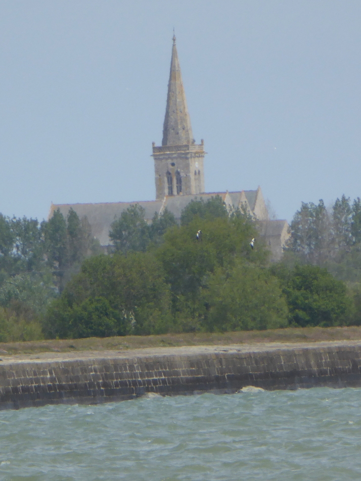 Vue sur l'église - Réville