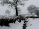 Photo précédente de Saint-Fromond Neige