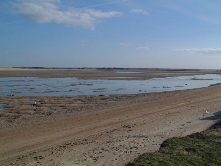 Le havre à marée basse - Saint-Germain-sur-Ay