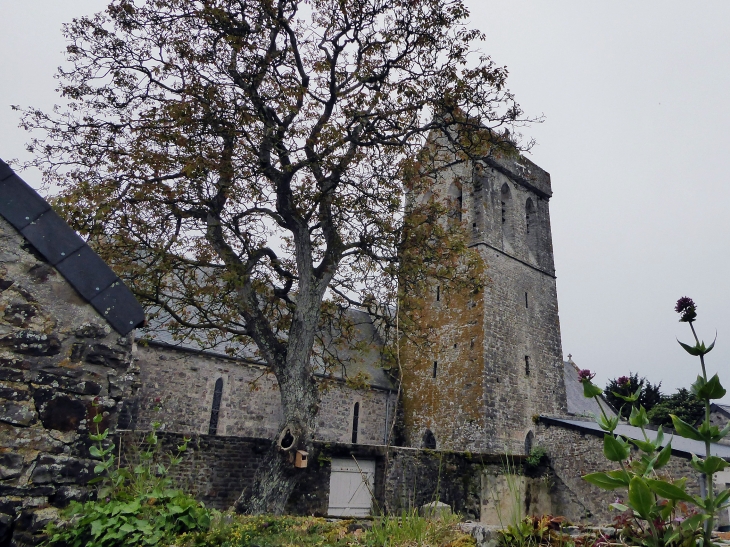 Derrière l'église - Saint-Lô-d'Ourville