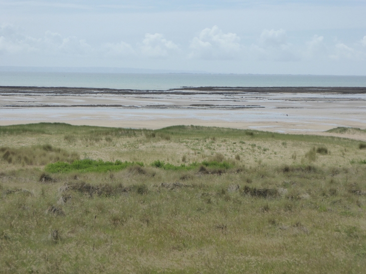 Mielles et plage - Saint-Lô-d'Ourville