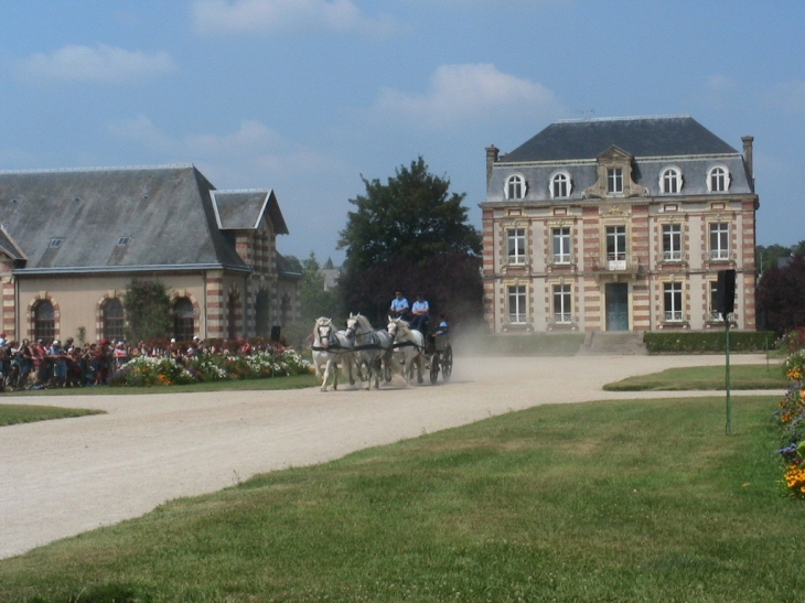 Haras de Saint Lo - Saint-Lô