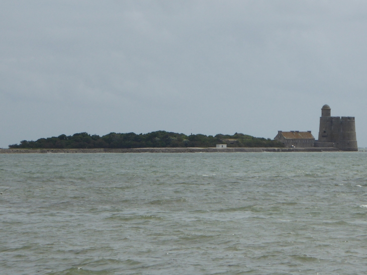 L'île de Tatihou - Saint-Vaast-la-Hougue