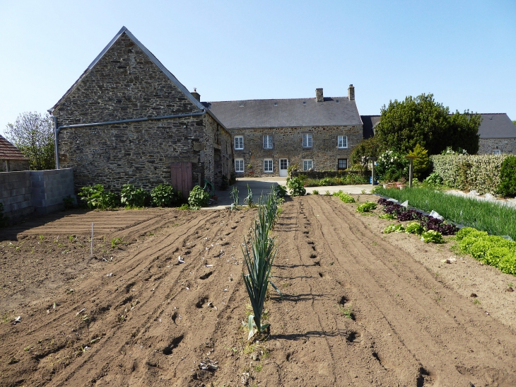 Maison avec potager - Surtainville