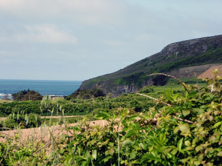 Vue sur le nez du Pou - Surtainville