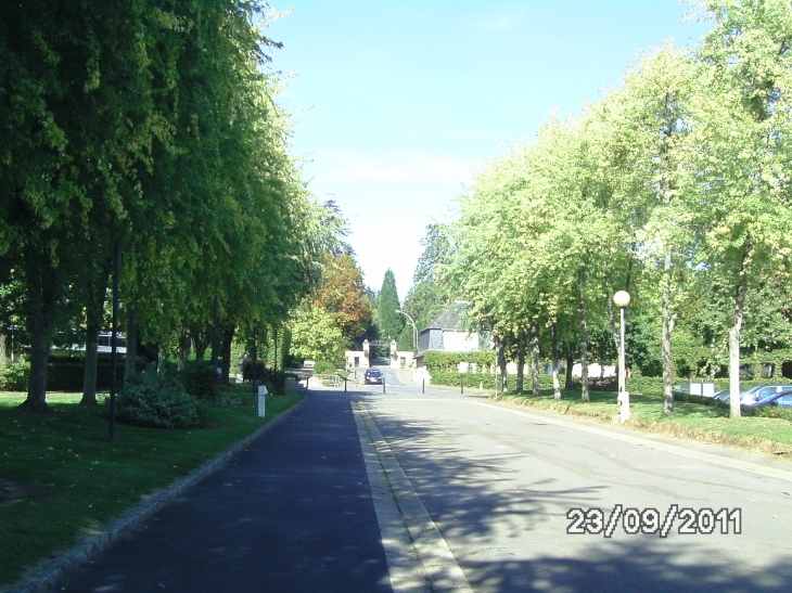 Avenue du Maréchal de Téssé - Bagnoles-de-l'Orne