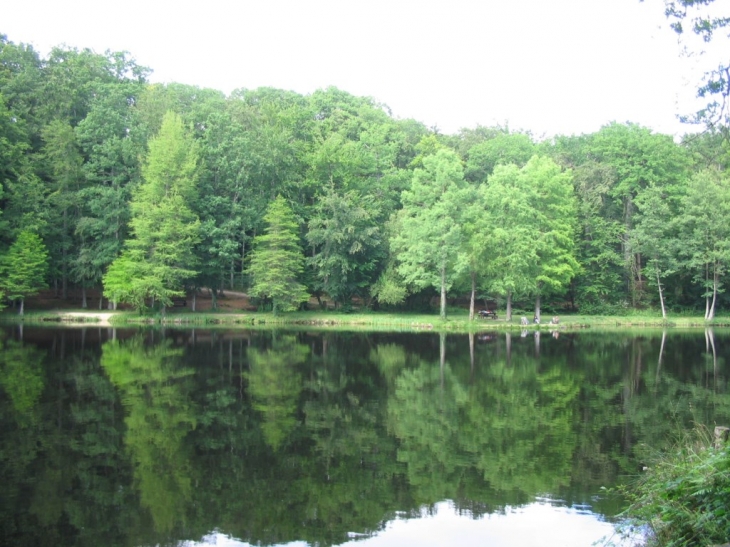 Etang de la Herse - Bellême