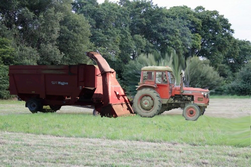 Ensilage d'herbe à Ginai