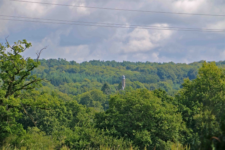 Vue sur la tour de bonvouloir - Juvigny-sous-Andaine