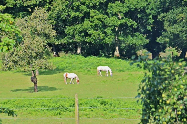 A la tour de bonvouloir - Juvigny-sous-Andaine