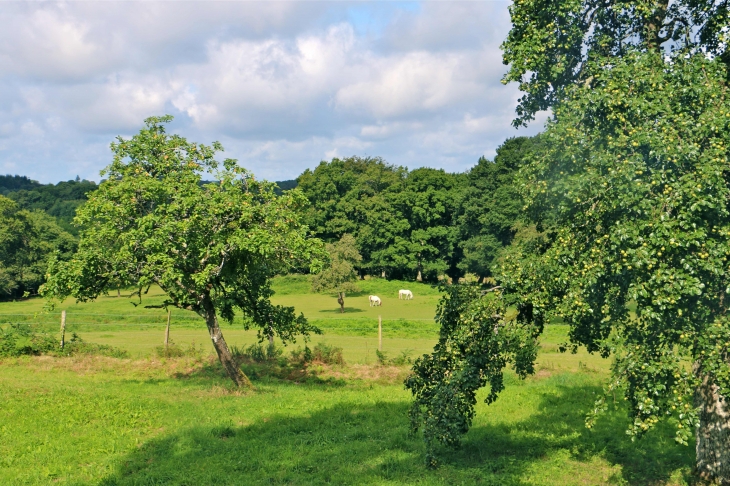 A la tour de bonvouloir - Juvigny-sous-Andaine