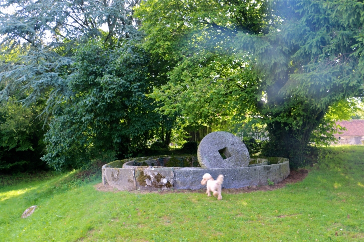 A la tour de bonvouloir - Juvigny-sous-Andaine