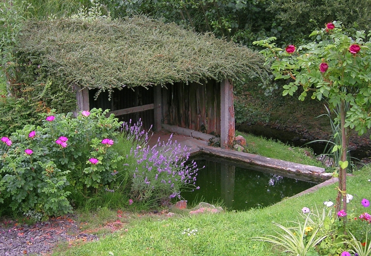 Lavoir de Puet - La Roche-Mabile