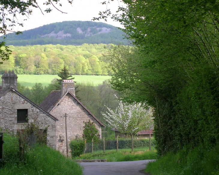 Carrefour du chemin de Puet - La Roche-Mabile