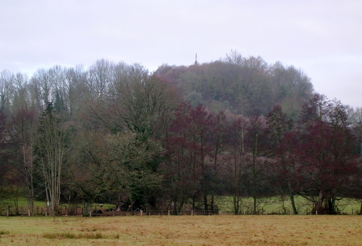 La motte féodale - La Roche-Mabile