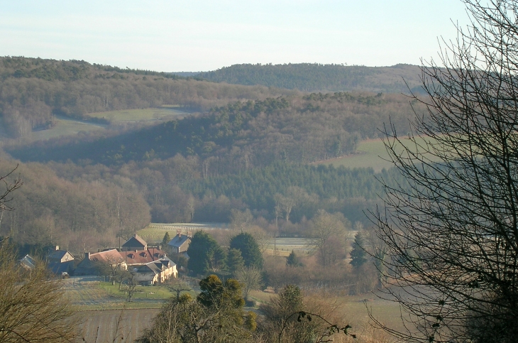 La Haie - La Roche-Mabile