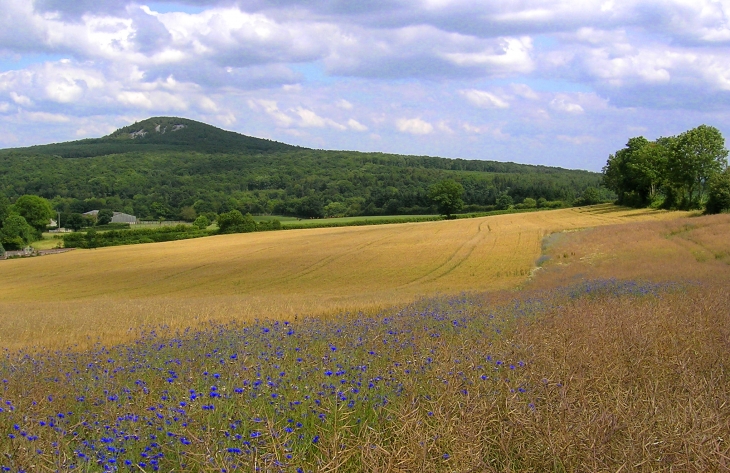 La Butte Chaumont vue de la route des Monts - La Roche-Mabile