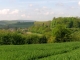 Le bourg et la motte féodale