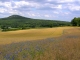 La Butte Chaumont vue de la route des Monts