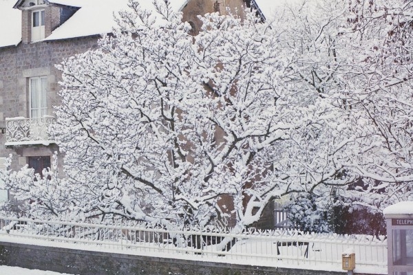 Lalacelle sous la neige