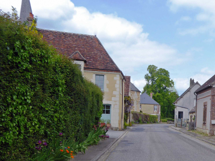 La rue principale - Monceaux-au-Perche