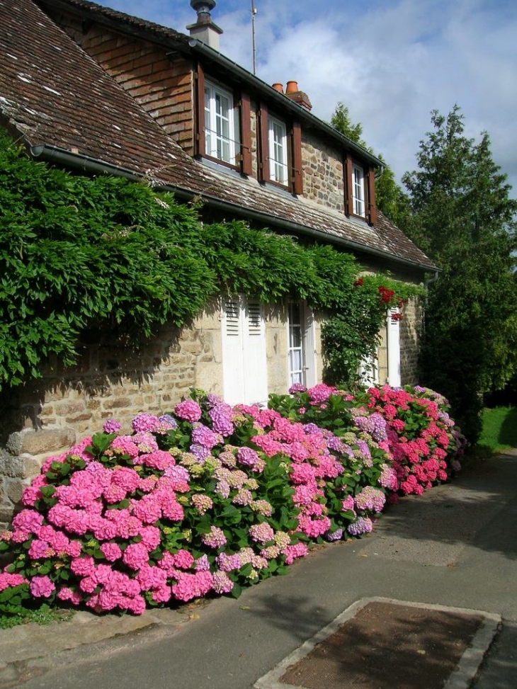 MAISON FLEURIE DU BOURG - Saint-Céneri-le-Gérei