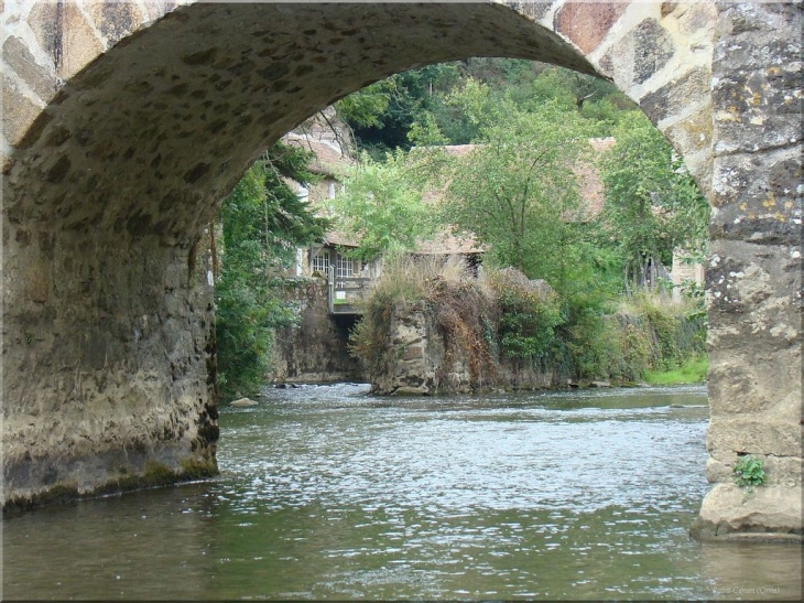 La Sarthe à Saint Ceneri - Saint-Céneri-le-Gérei