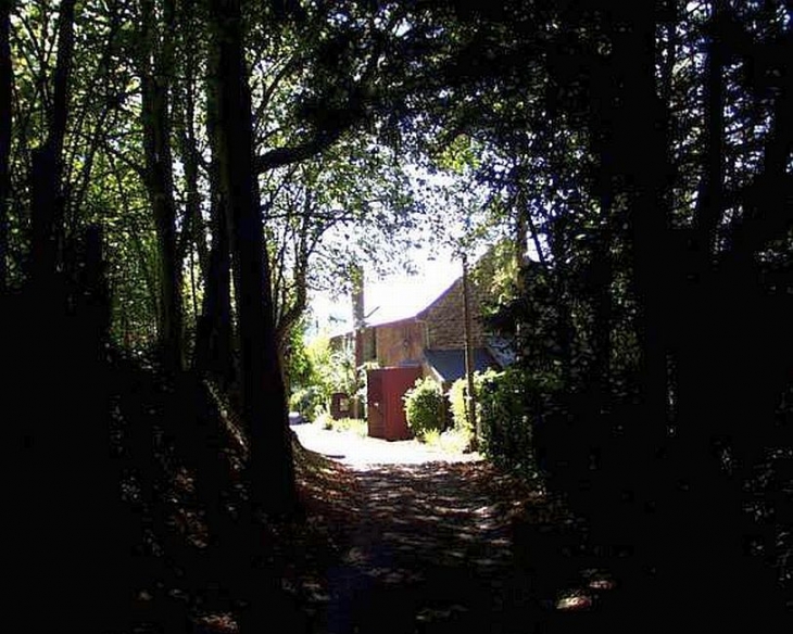 Le chemin du Donjon - Saint-Céneri-le-Gérei