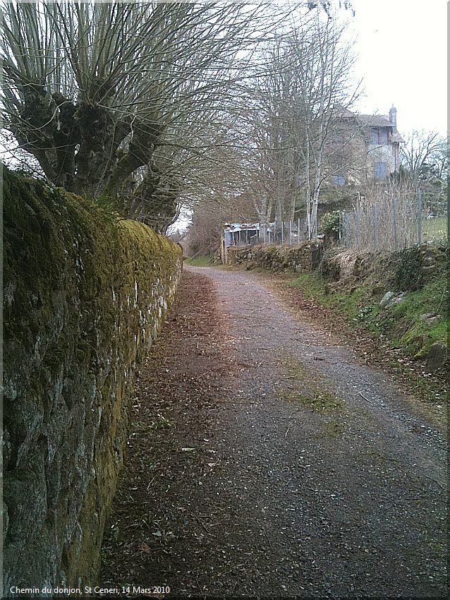 Le chemin du donjon reliant le Bourg a la Mairie - Saint-Céneri-le-Gérei