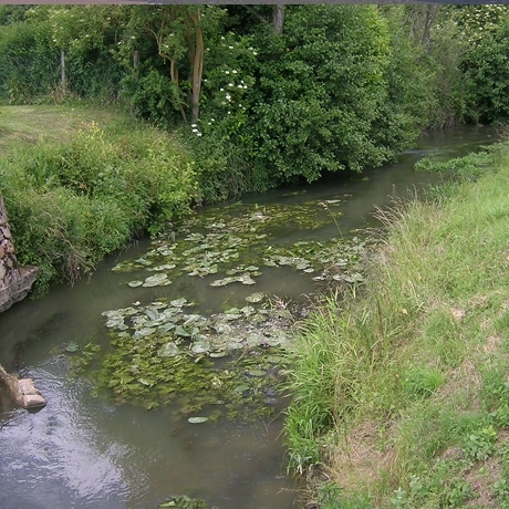 La Coudre polluée et encombrée - Saint-Germain-de-la-Coudre