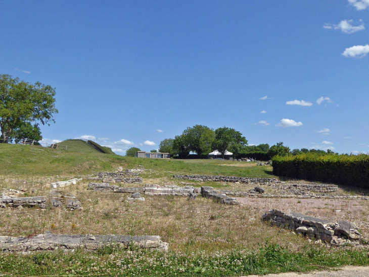 Les fouilles gallo -romaines - Alise-Sainte-Reine