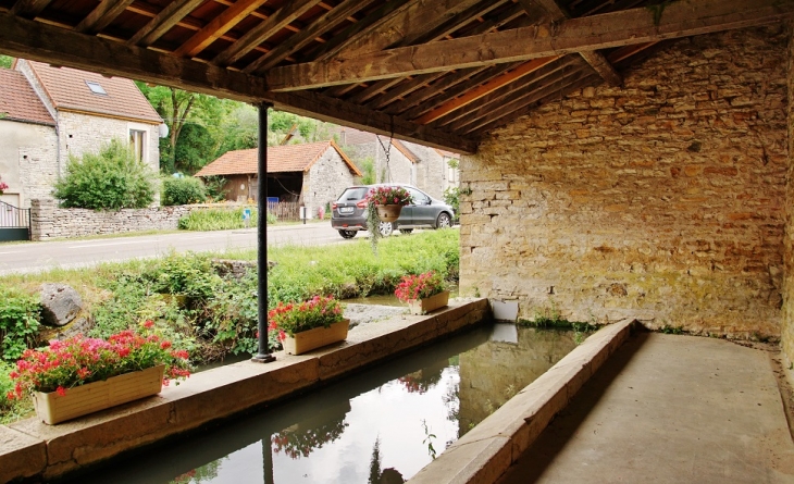 Le Lavoir  - Auxey-Duresses